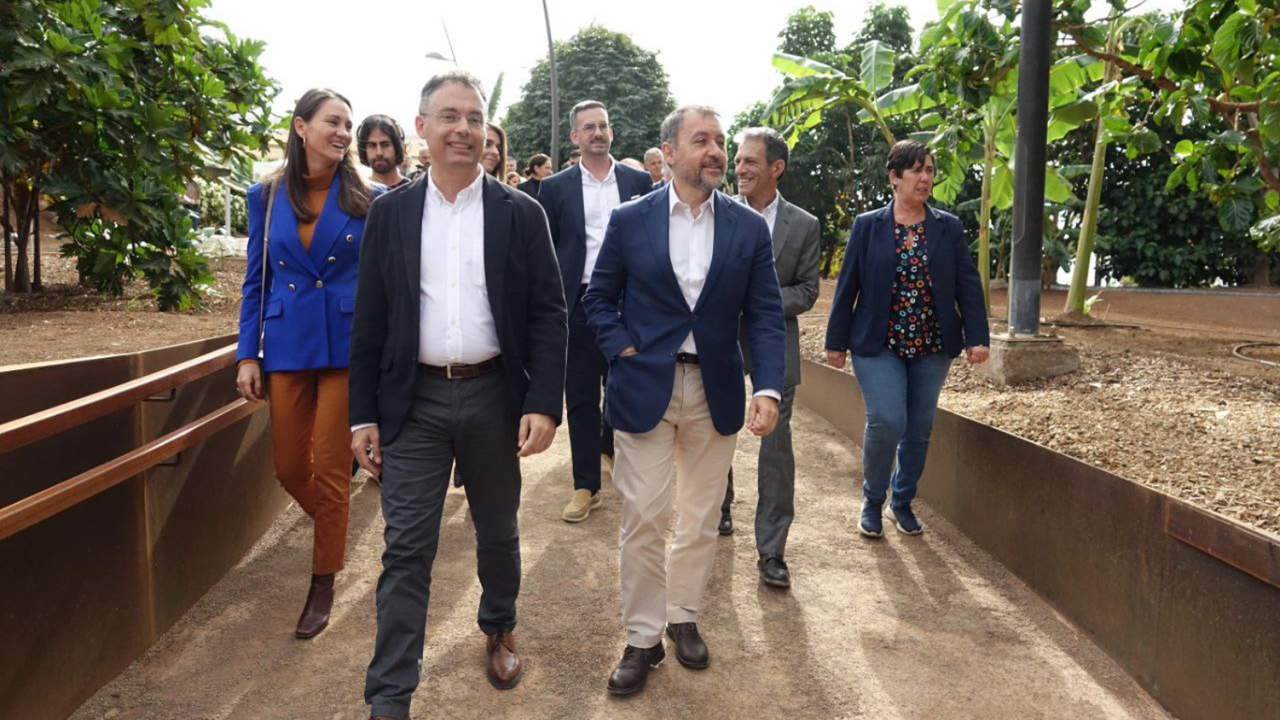241209 Palmetum 1(1)