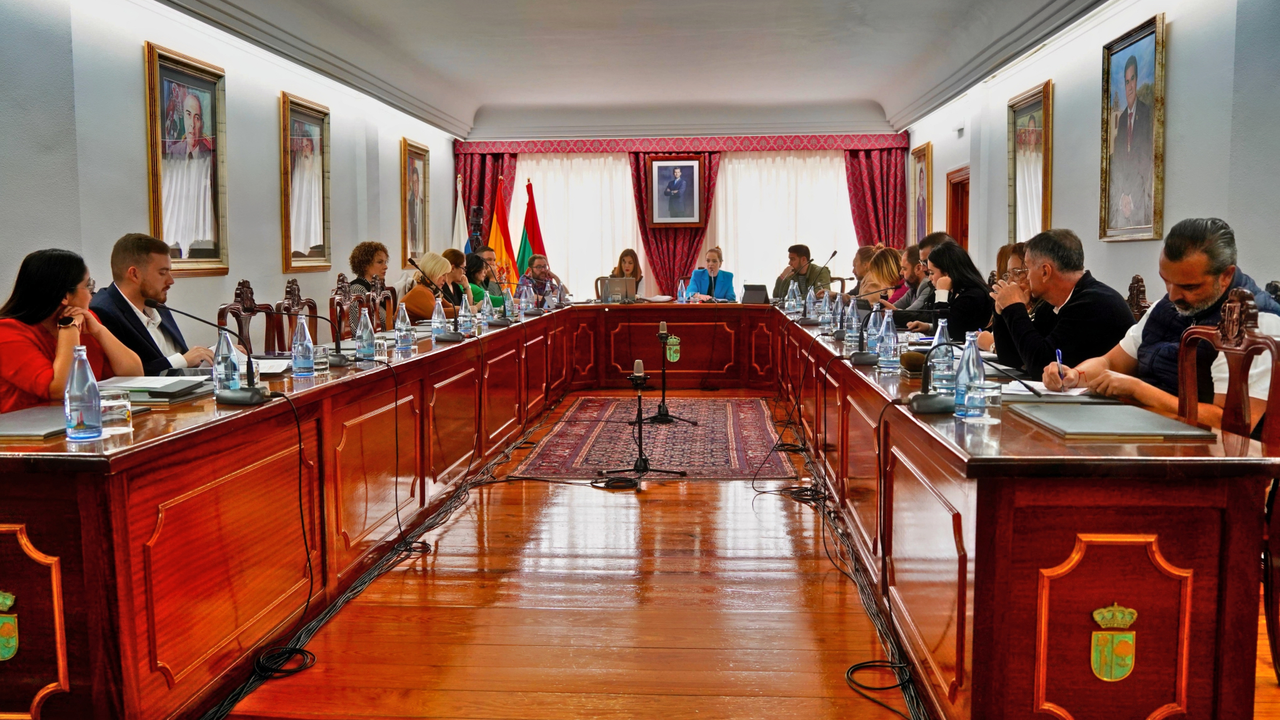 Pleno diciembre 2024 Arona(3)