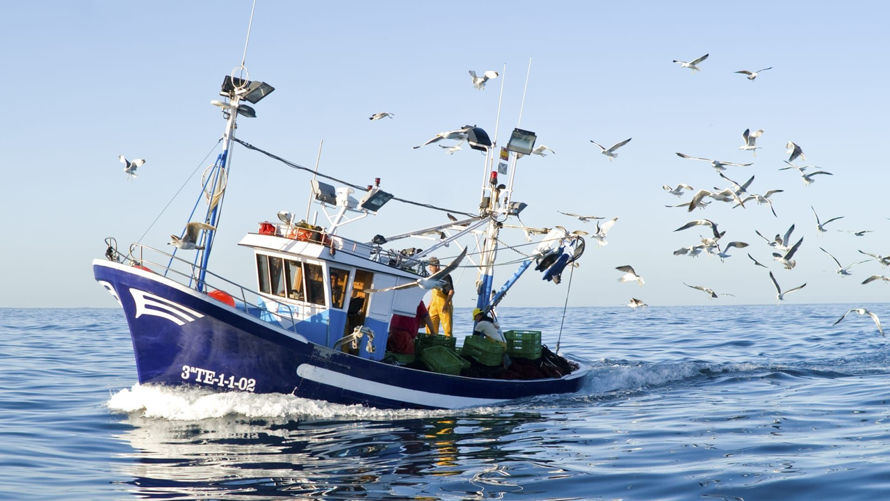 Pesca Artesanal _0(1)