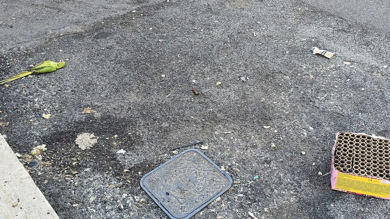 Una cacat&uacute;a yace muerta al lado de una caja de fuegos artificiales.