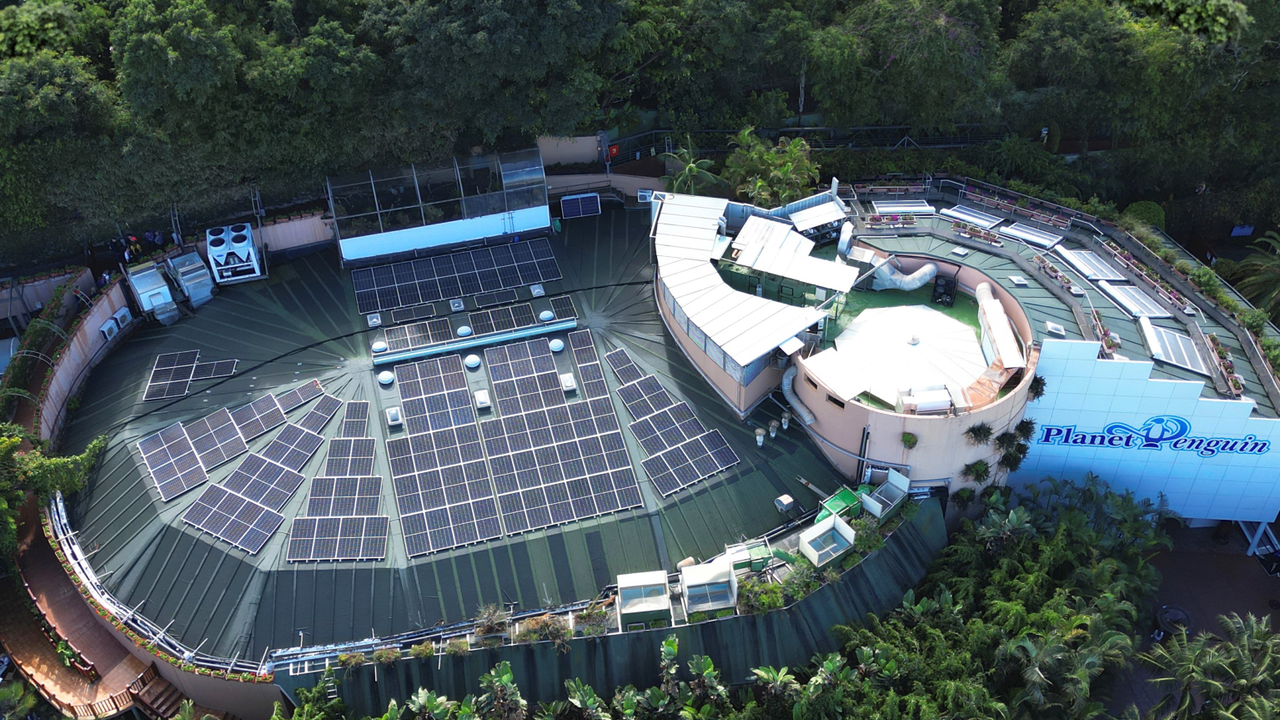 Loro Parque becomes the first zoo in the world to achieve a negatuva carbon footprint(1)