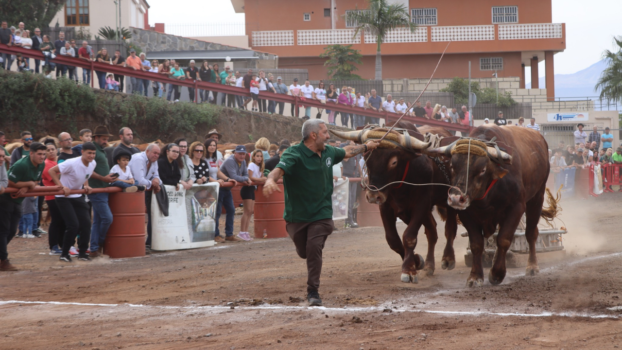 06_ CONCURSO ARRASTRE DE GANADO TACORONTE 2024(1)