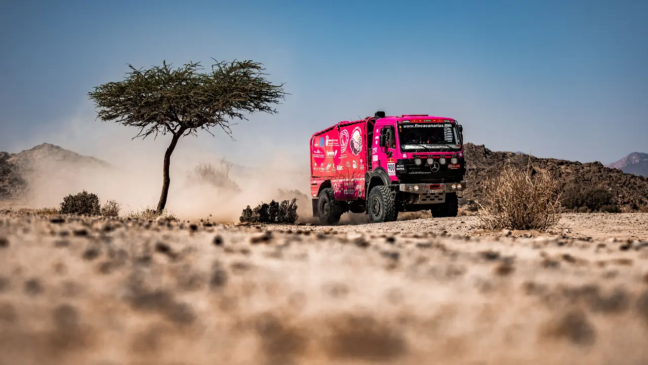 El Elefante Rosa sigue con paso firme en Arabia Saud&iacute;