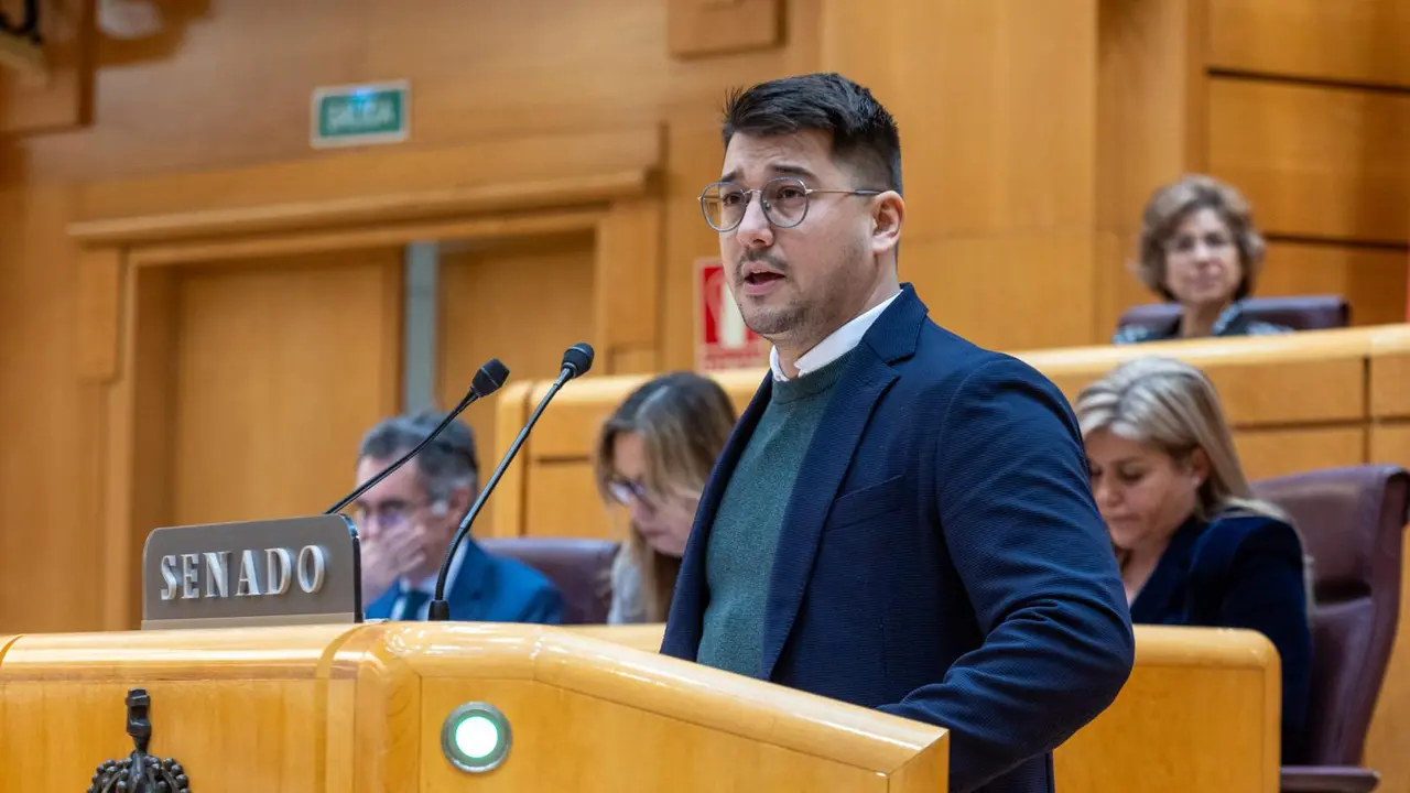 Fabi&aacute;n Chinea, senador por la isla de La Gomera