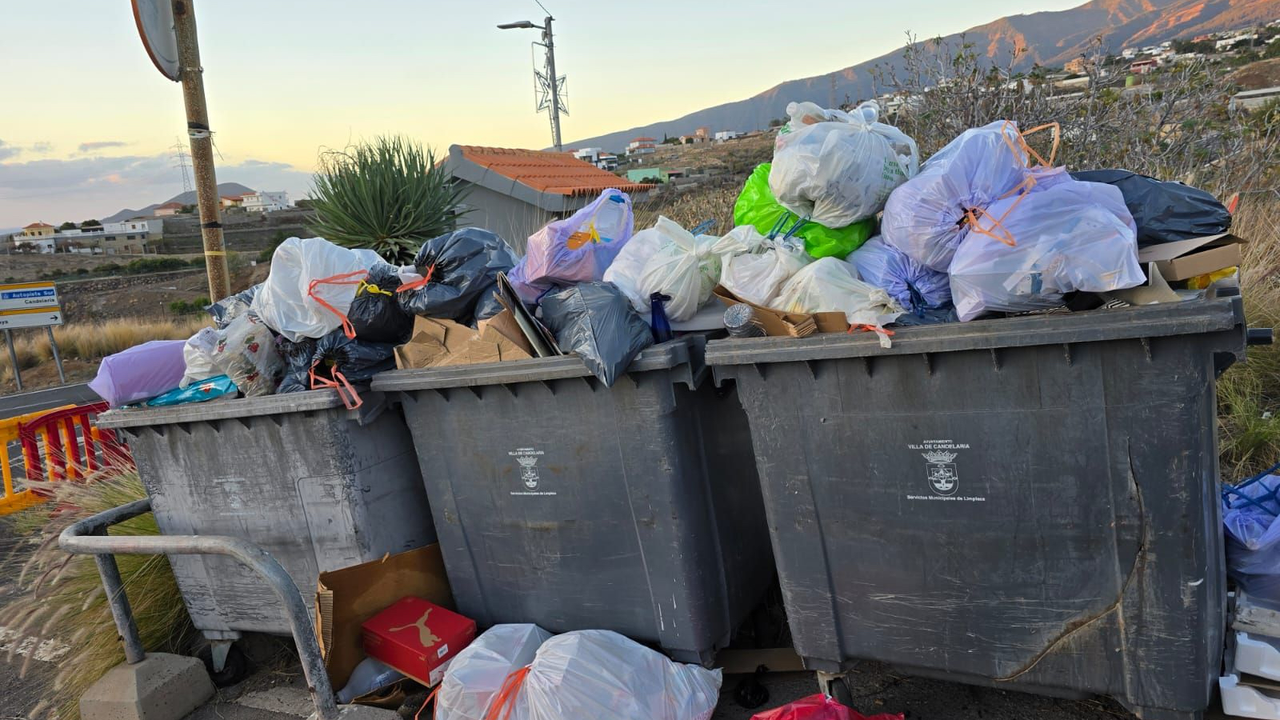 Basura Araya(1)