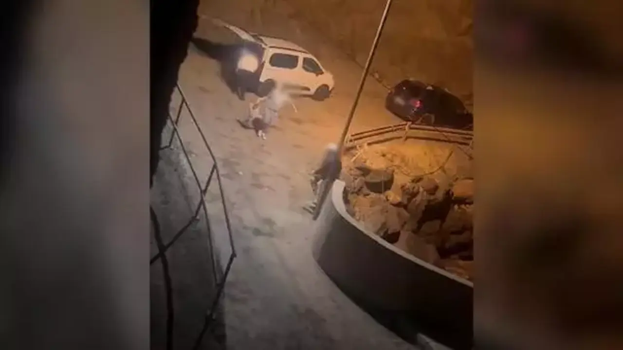 La detenci&oacute;n se produjo gracias al v&iacute;deo en redes sociales y al obtener la matr&iacute;cula del coche.