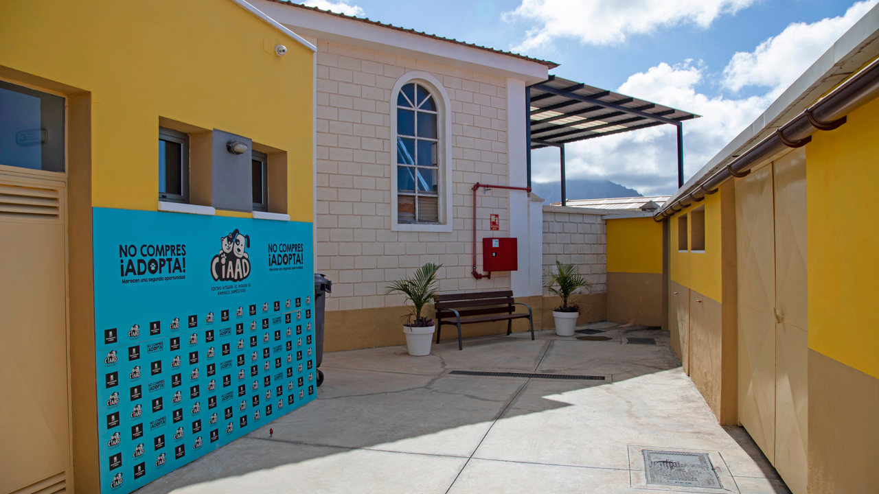 CENTRO DE ACOGIDA DE ANIMALES DOM&Eacute;STICOS ADEJE(1)