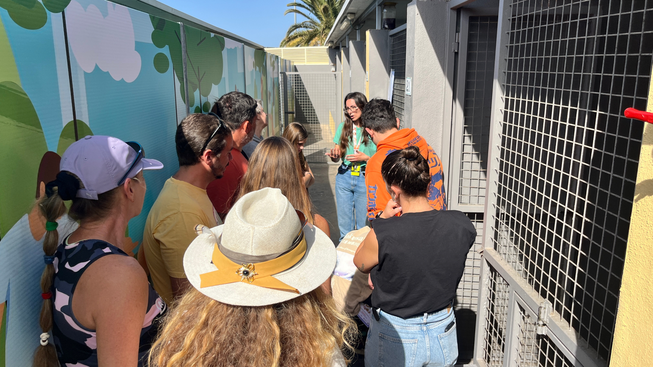 Perrero Adeje JORNADAS PUERTAS ABIERTAS CIAAD-2