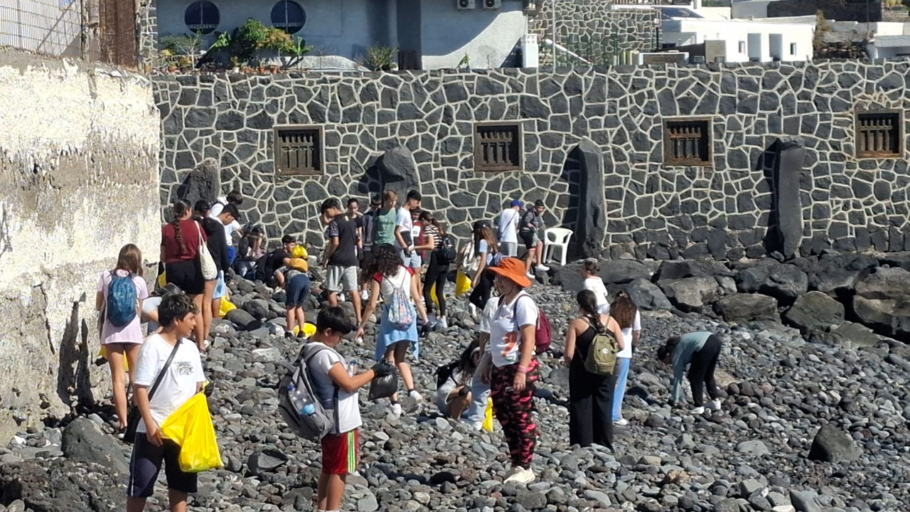Candelaria voluntariado ambiental 2025-02-14 at 12