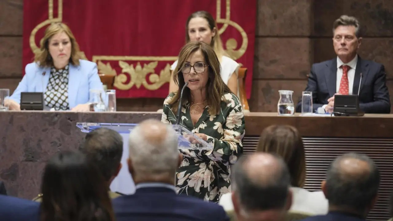 Lola Padr&oacute;n es diputada del Com&uacute;n desde mayo del a&ntilde;o pasado.