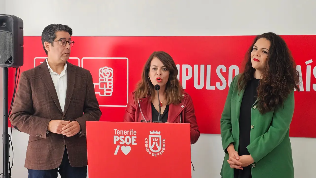 El PSOE sale en defensa de Jennifer Miranda y ataca con dureza a Clavijo. / Norchi