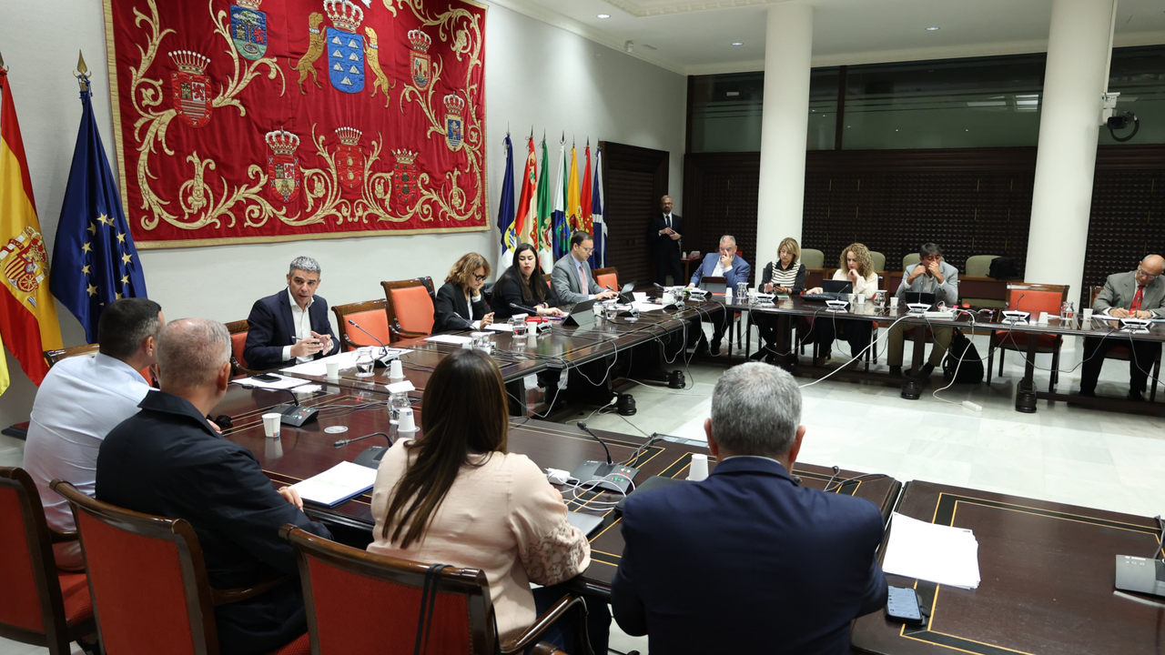 Comisi&oacute;n vinos canarias