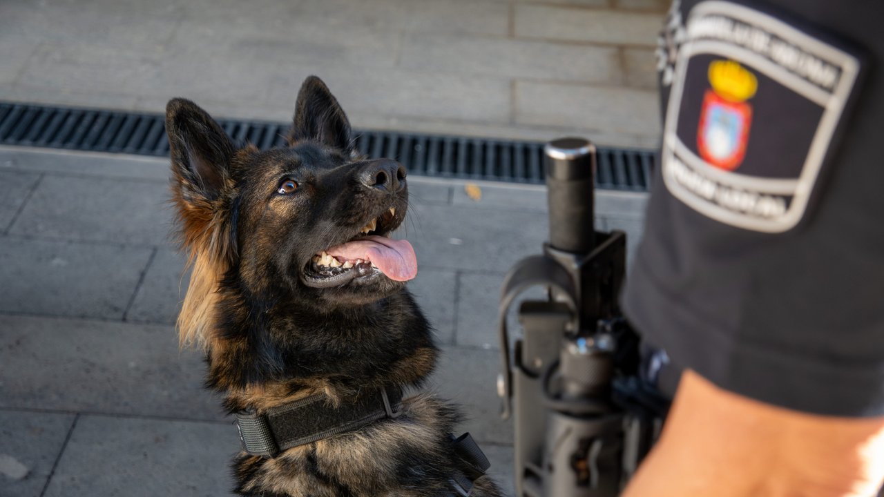 Granadilla Polic&iacute;a Local Unidad Canina(1)