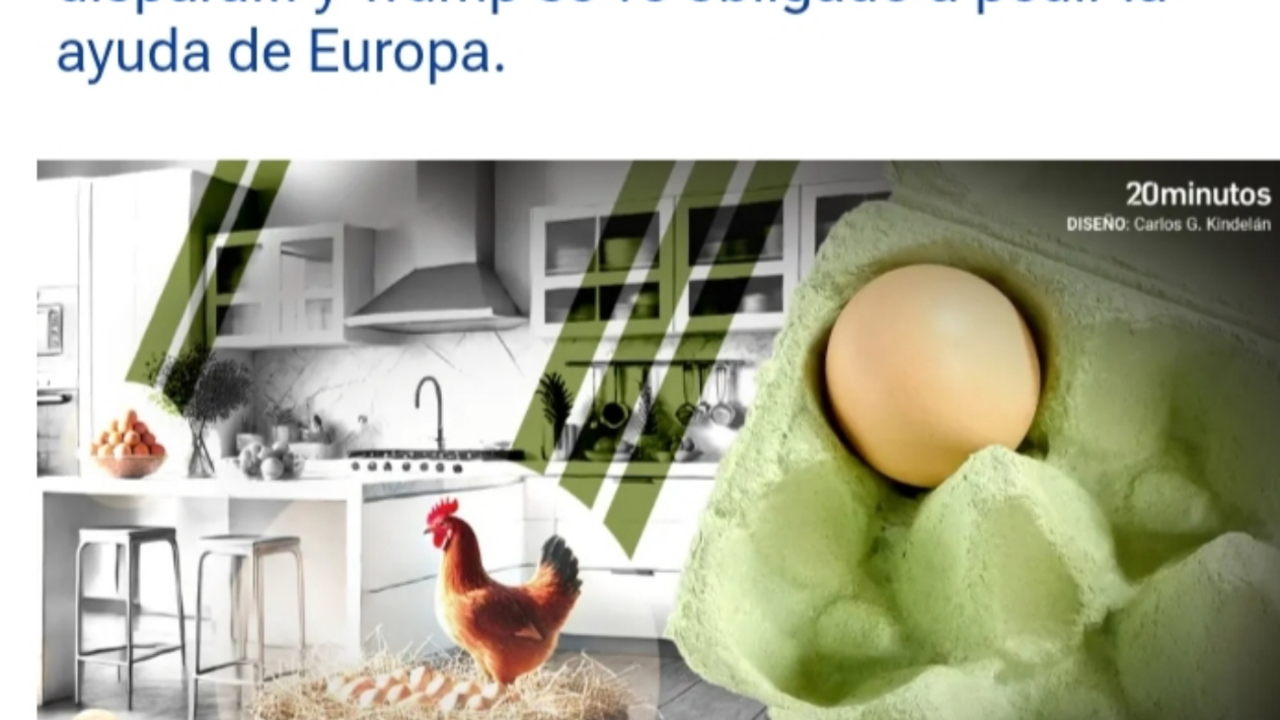 Gallina _194956(1)