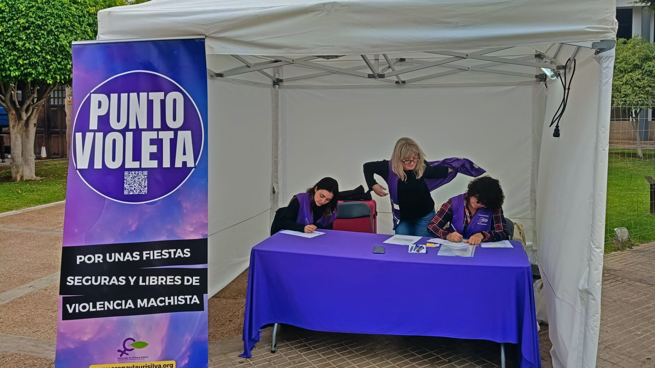 Punto violeta Arona(7)
