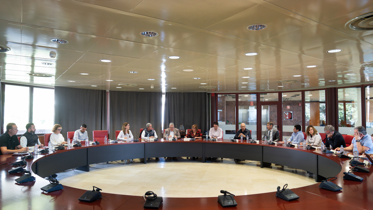 280325 Reuni&oacute;n entre Cabildo de La Gomera, VISOCAN y ayuntamientos de la isla(1)