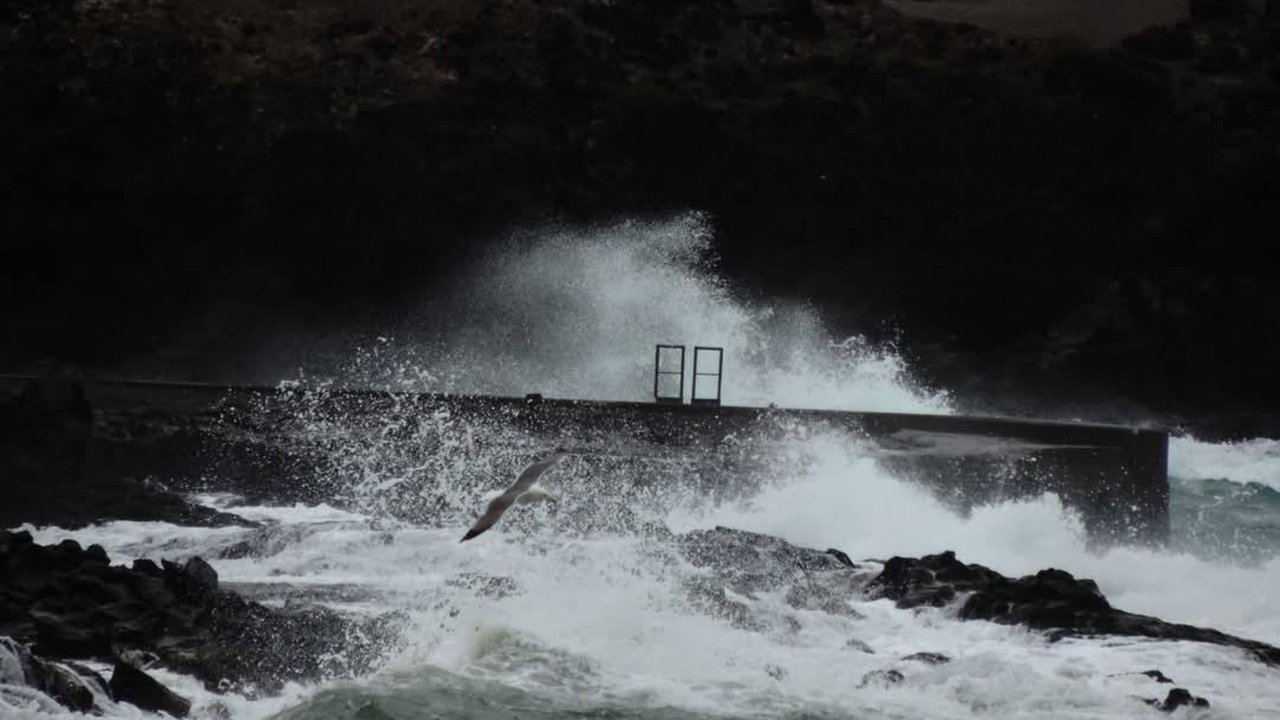 Costa de Los Cristianos Foto. Mercedes Menendezn(1)