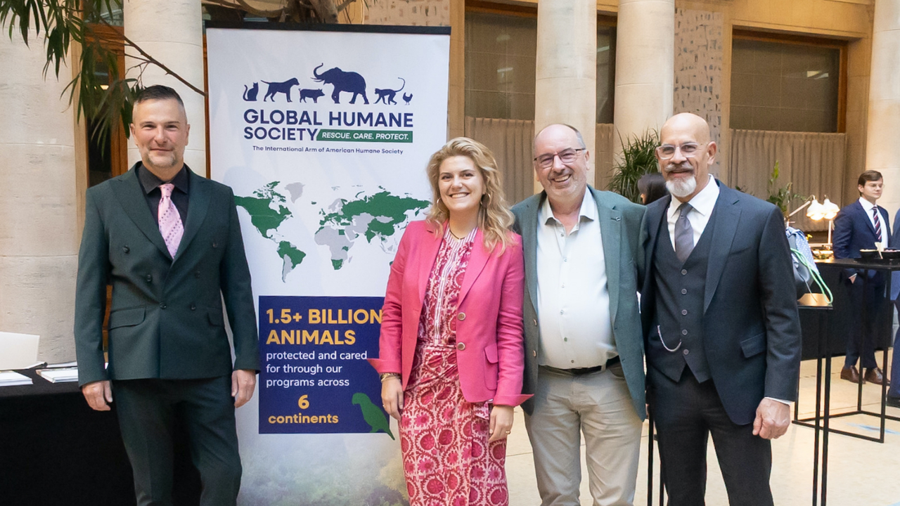 Loro Parque Parlamento Europeo 1 (8)