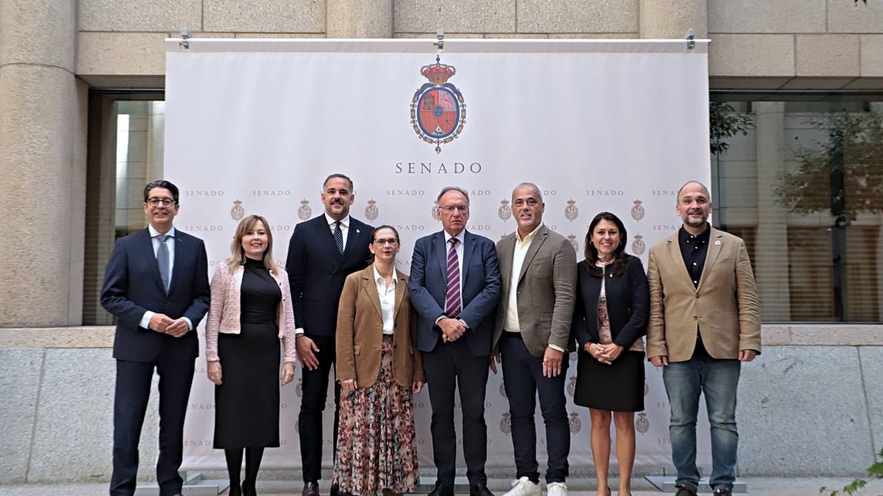 Foto senadores del PSOE