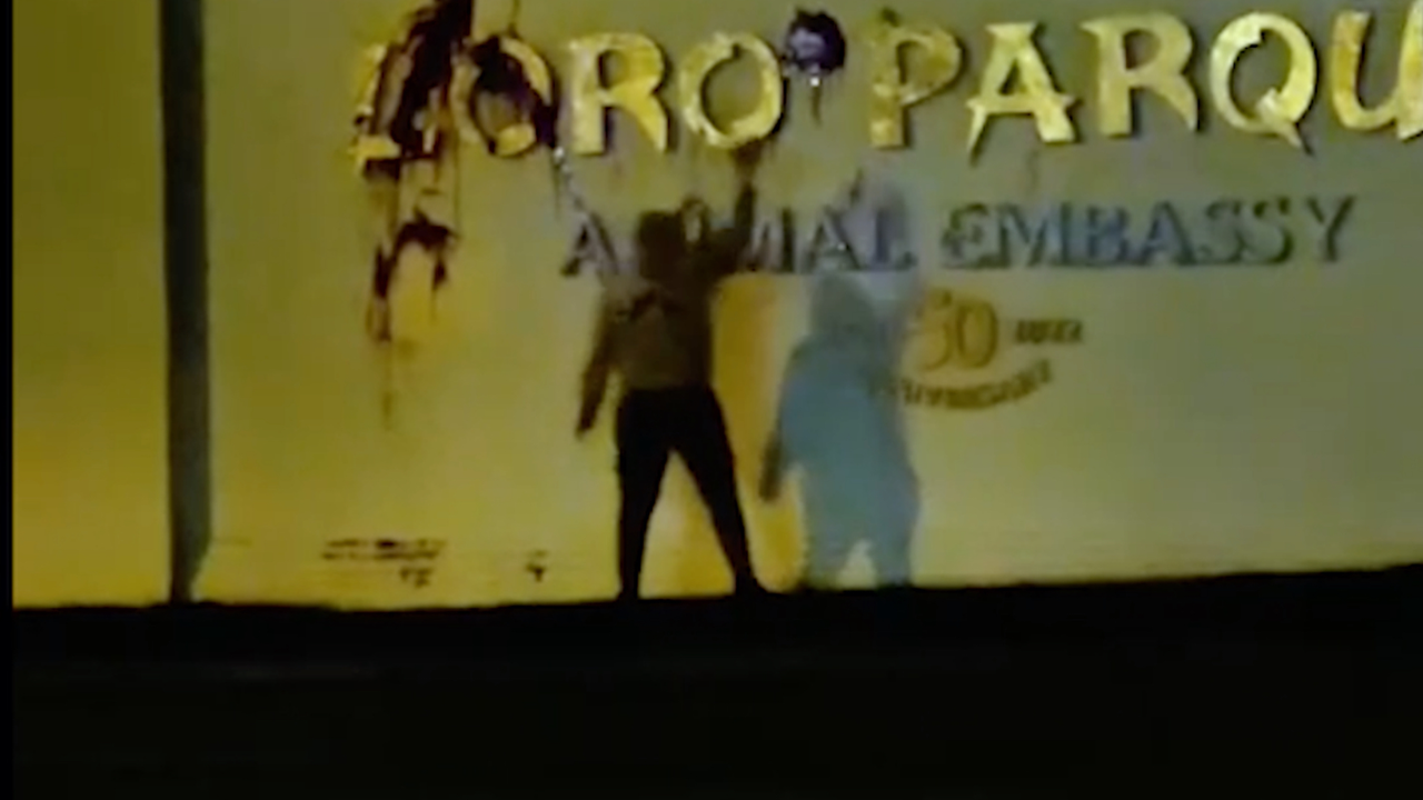 Vandalismo Loro Parque