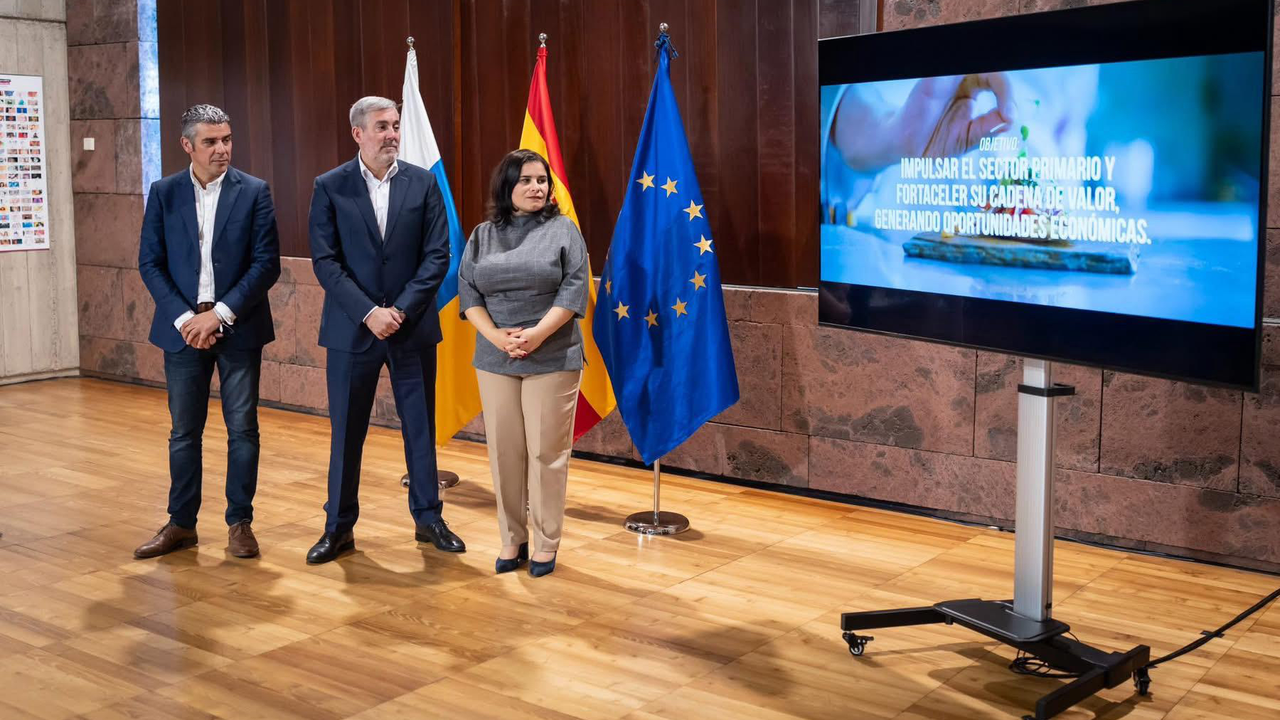 Presentaci&oacute;n del proyecto(1)