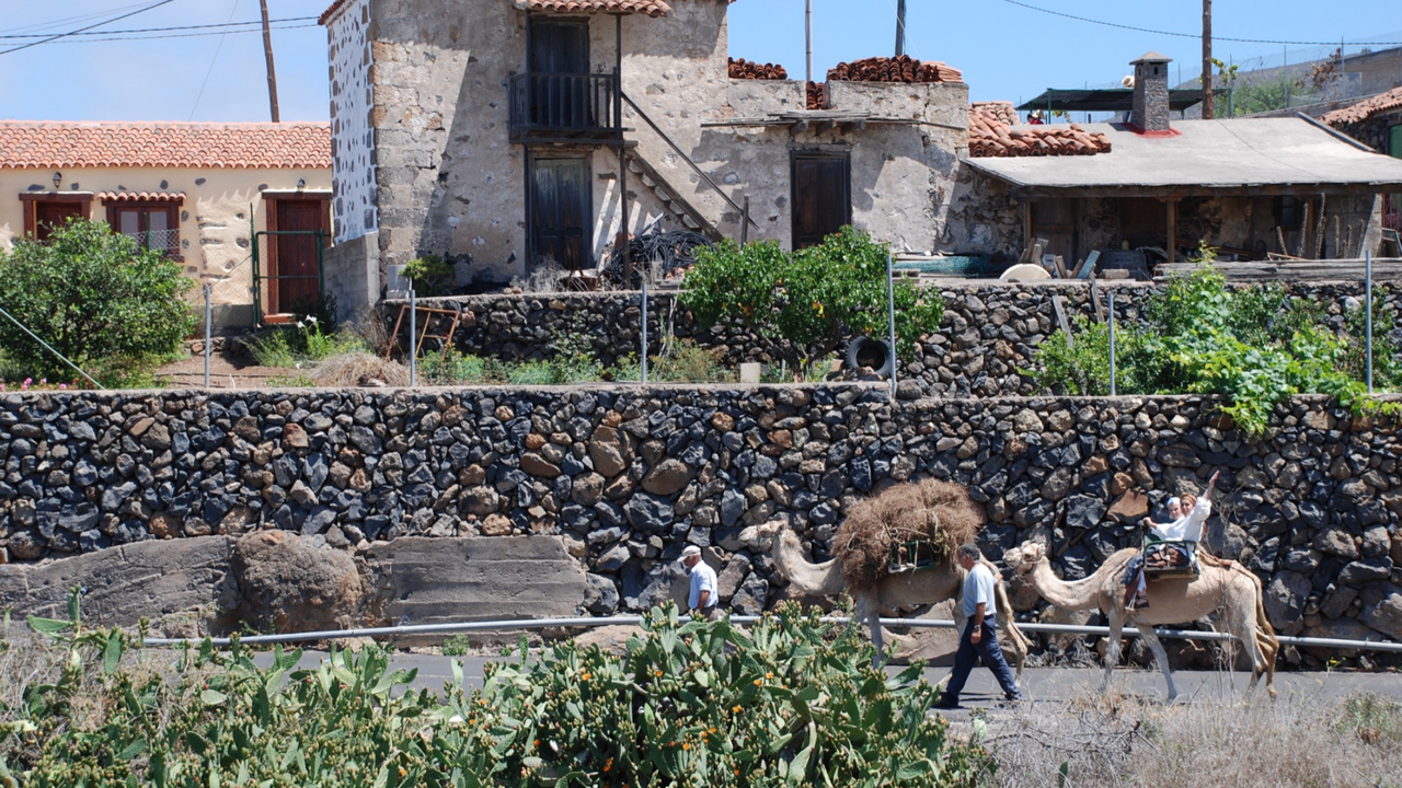 Taucho Adeje_DSC_0224_1(1)