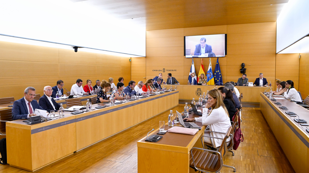 Cabildo Pleno-12(1)