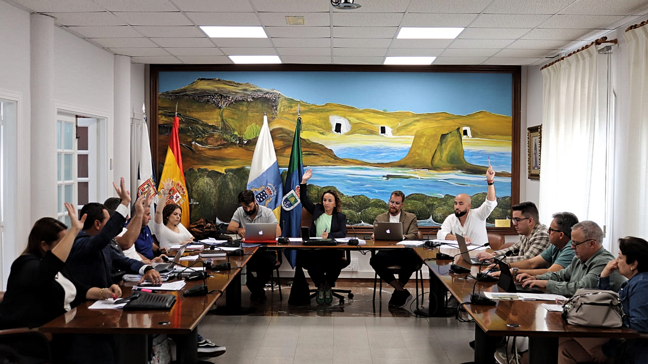 Aprobaci&oacute;n Presupuestos 2025 Arico(1)