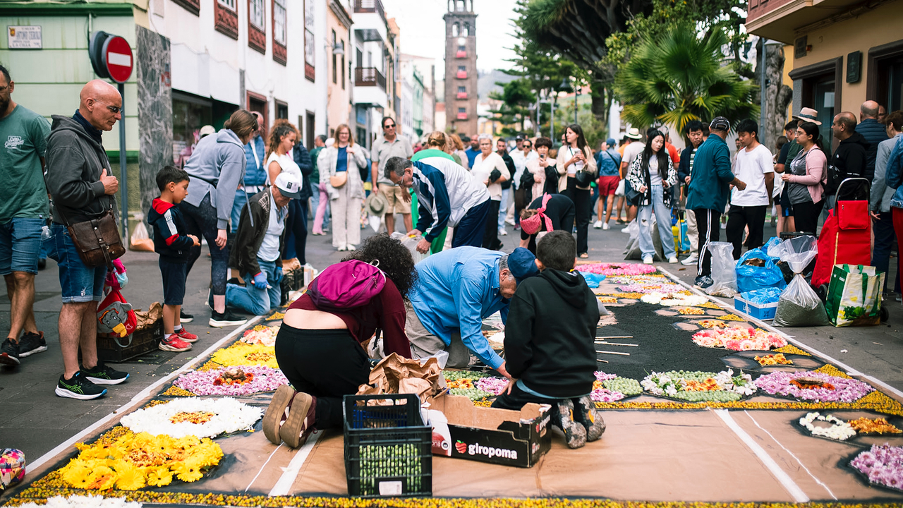 Alfombras Corpua La Laguna _SAN1309(1)
