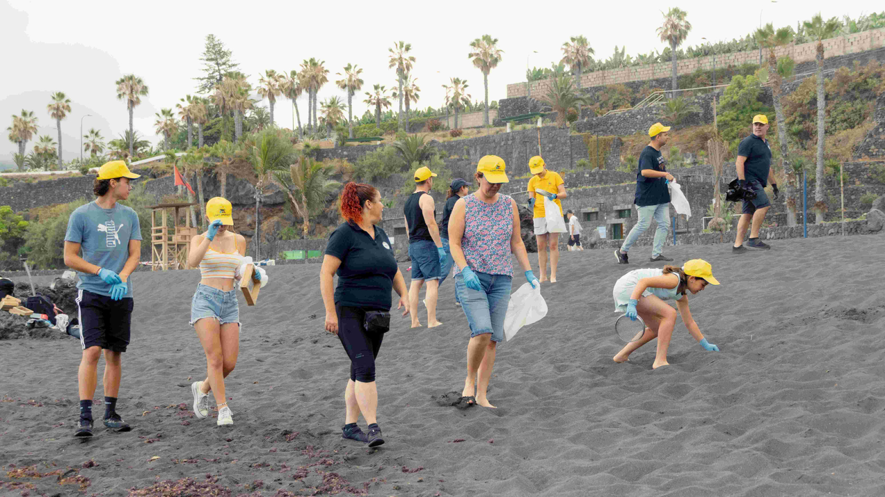 LPF - Limpieza de Playa 25