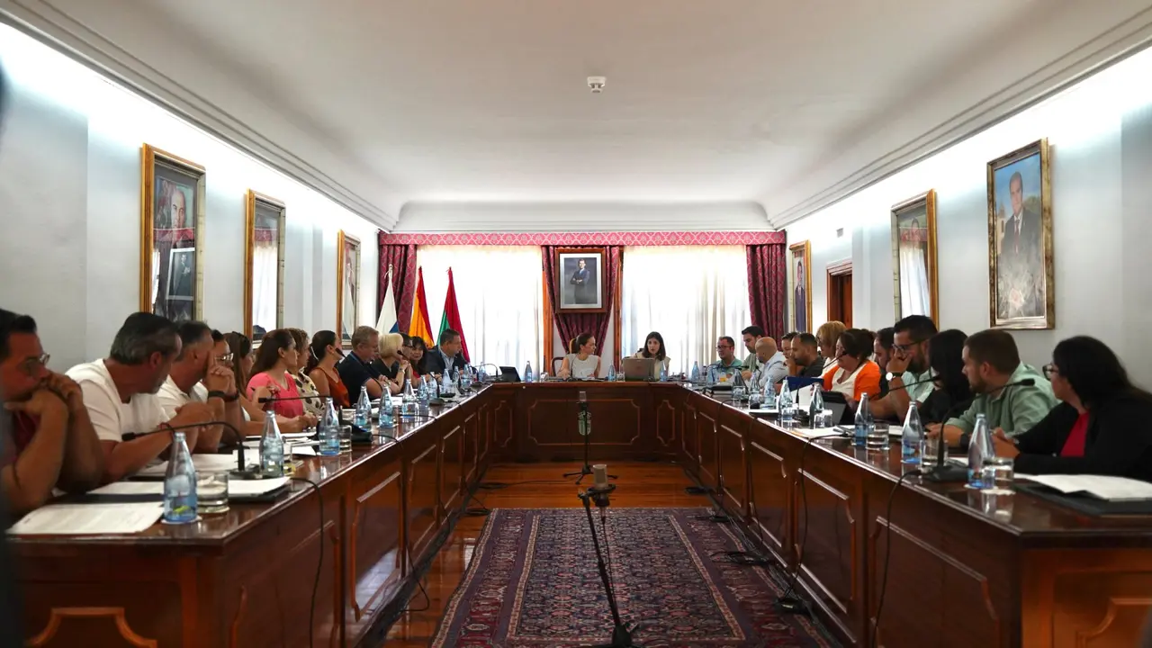 La oposici&oacute;n hizo valer su mayor&iacute;a en el pleno ordinario de hoy.