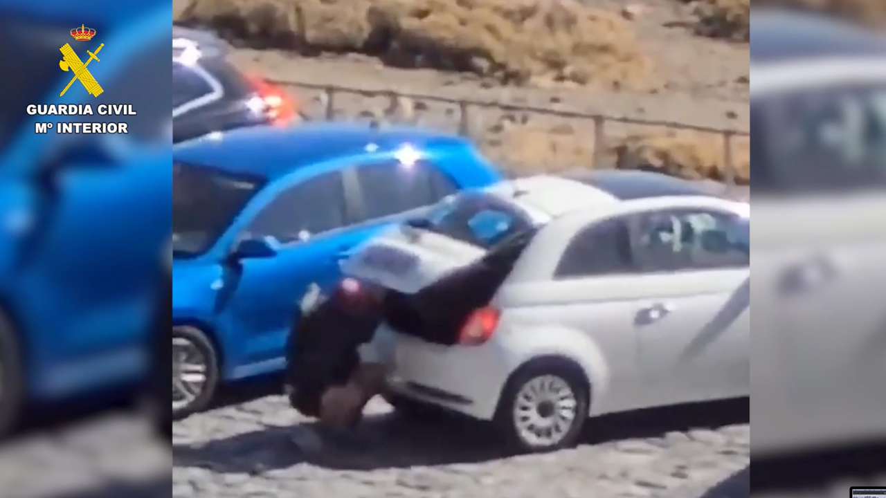 Lodrones en El Teide -07-03 a las 14