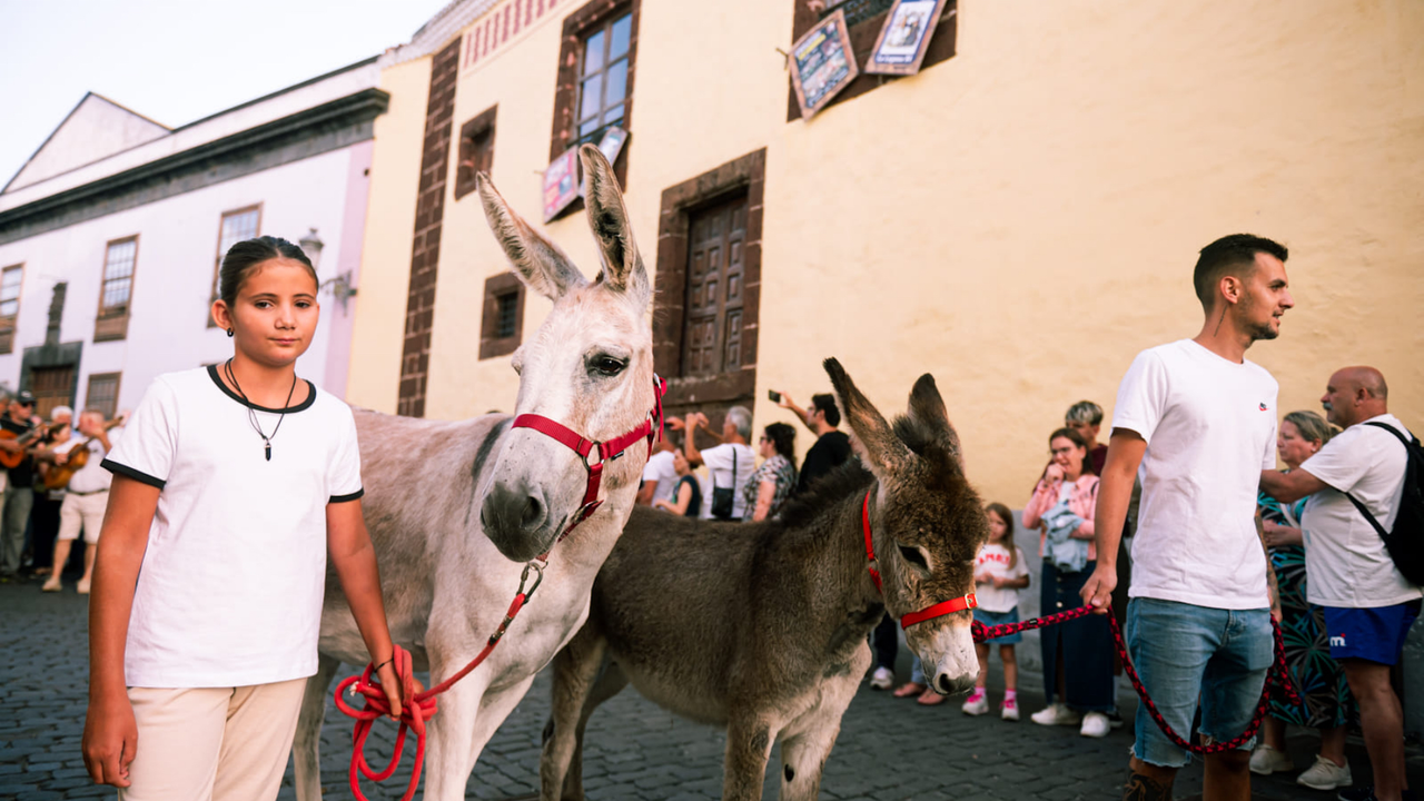 Noche Burros La Laguna_SAN7998(1)