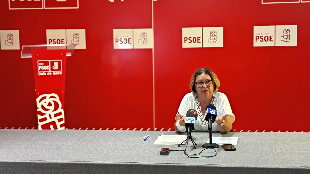 Josefa Mesa, durante la rueda de prensa que ofreci&oacute; hoy