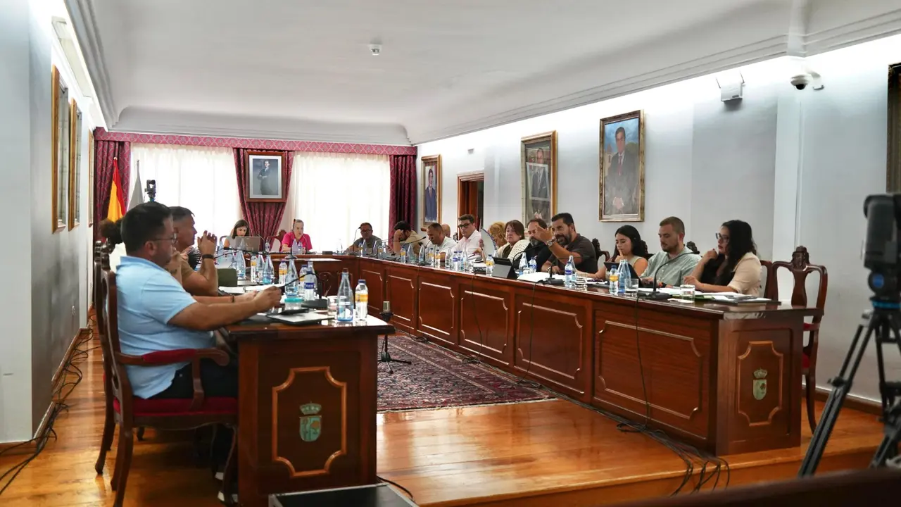 El pleno de Arona sac&oacute; adelante la licitaci&oacute;n del servicio de parques y jardines y adem&aacute;s varias modificaciones de cr&eacute;dito.