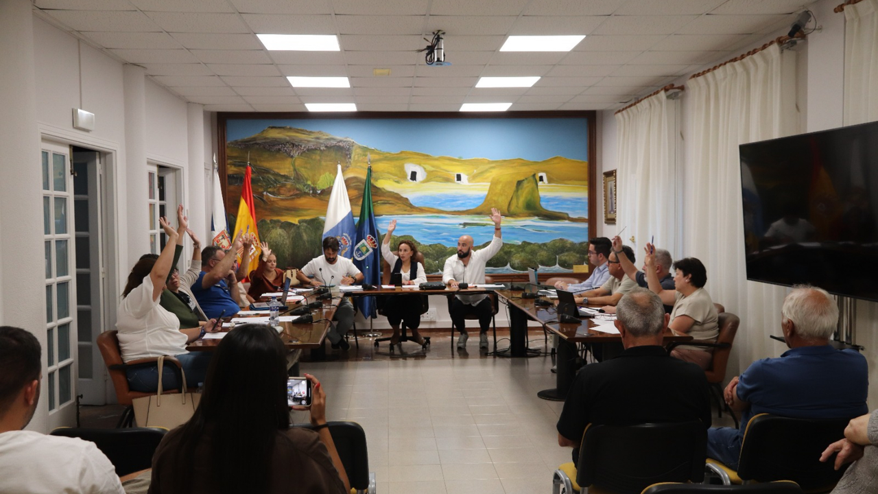 votacion pleno ordinario arico soccorismo(1)