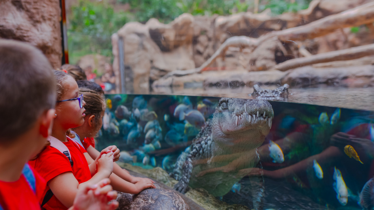 Loro Parque Foto Curso Escolar 2