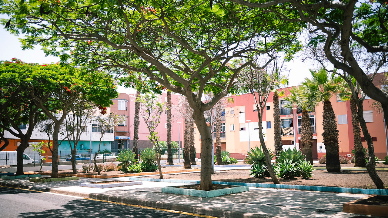 Plaza Avenida La Libertad 2(1)