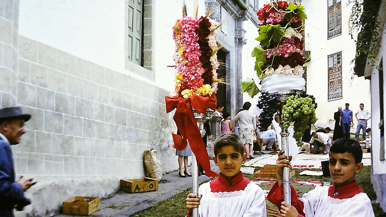 ciriales en d&iacute;a alfombras