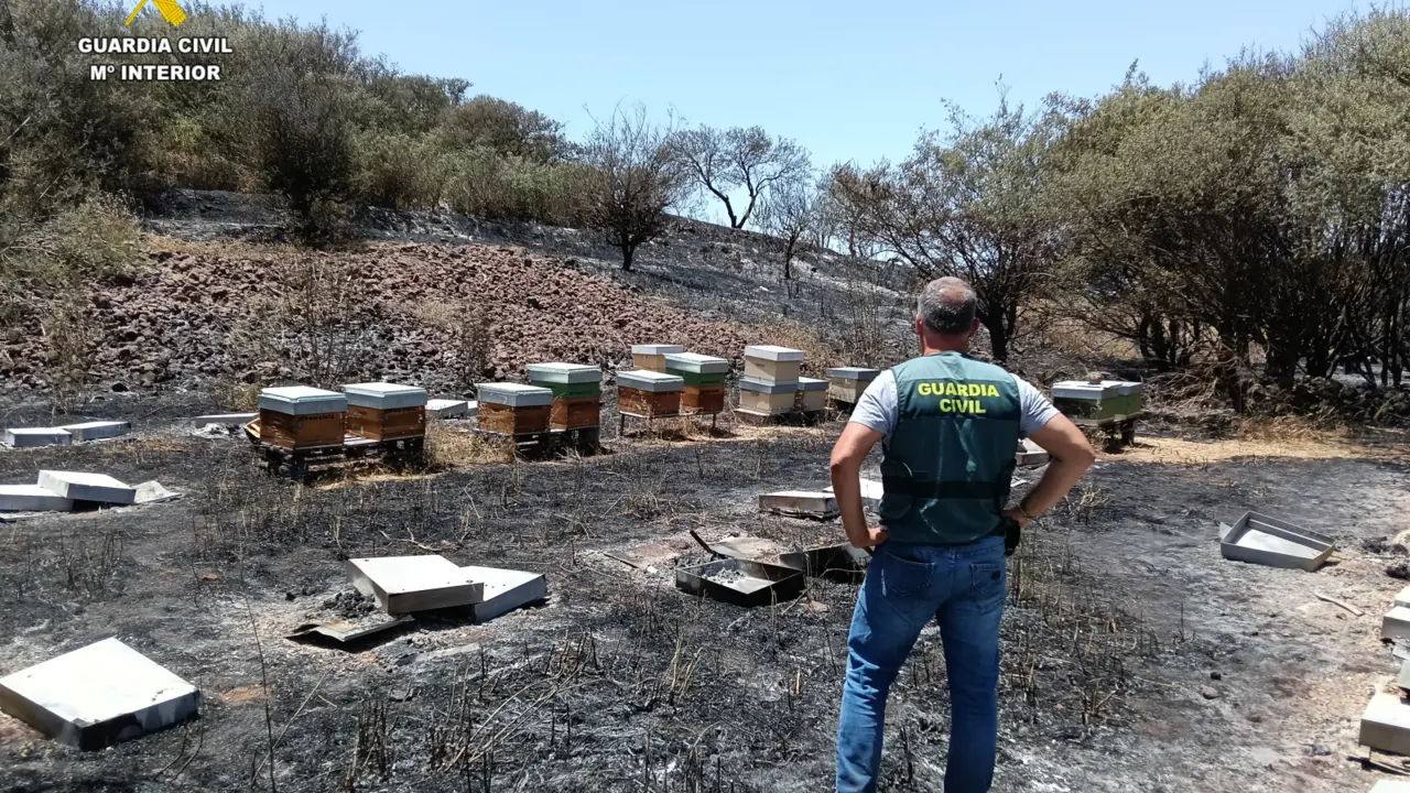 Guardia Civil investigacion Incendio El Tanque