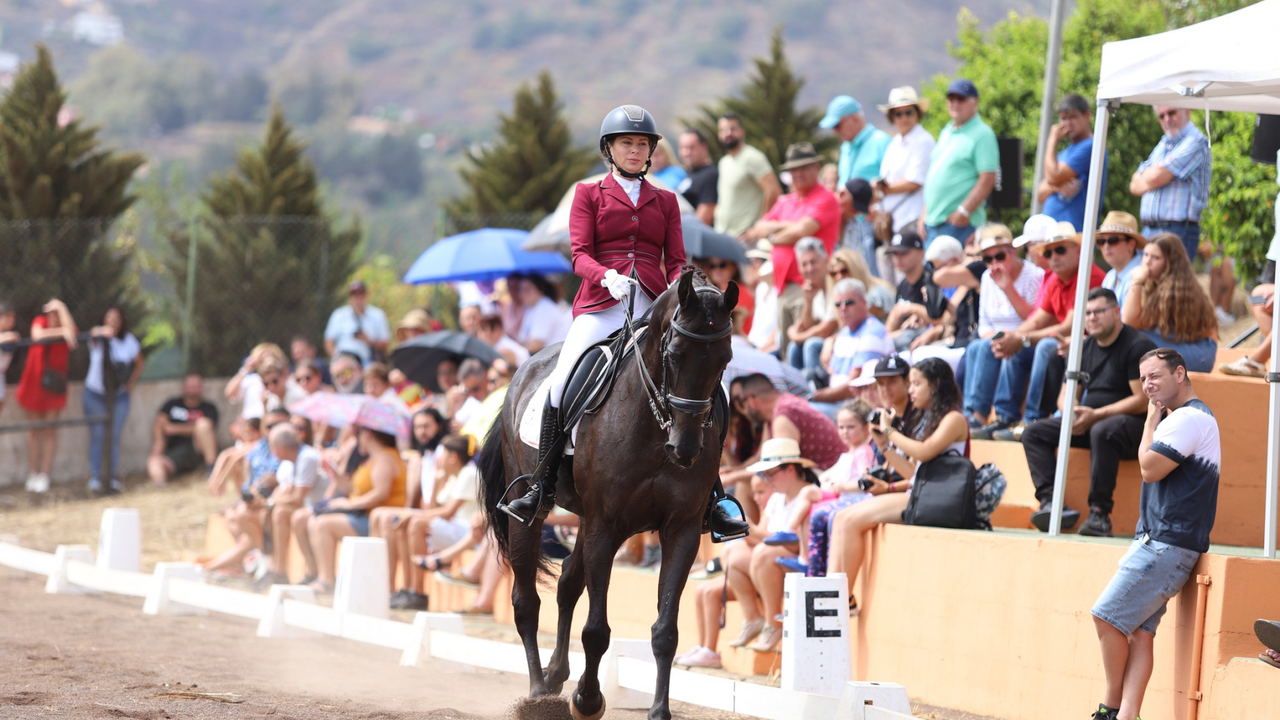 D&iacute;a del Caballo en Santa Brigida_