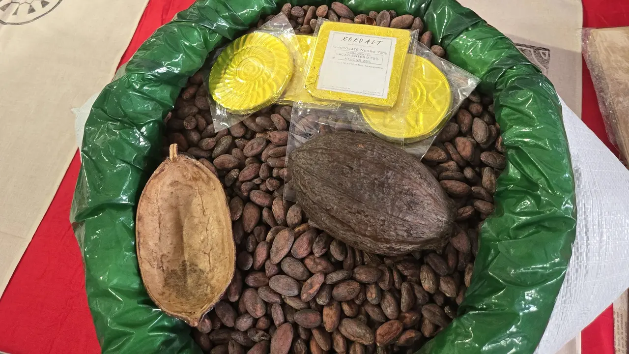 cacao portada