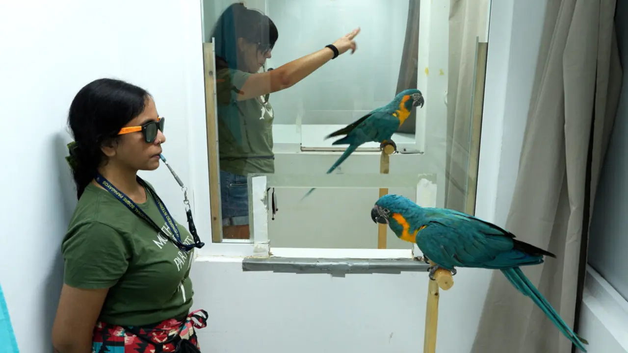 Loro Parque Spin test 1(1)(1)