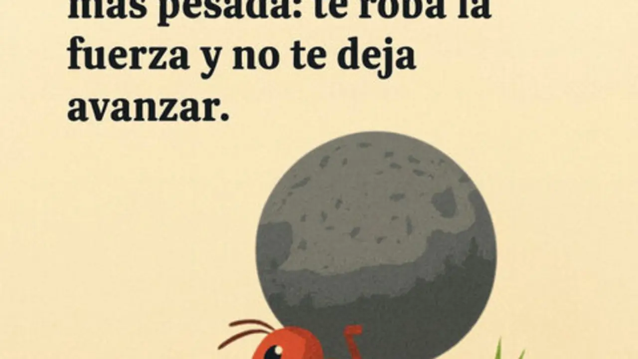 Reflexi&oacute;n Randy