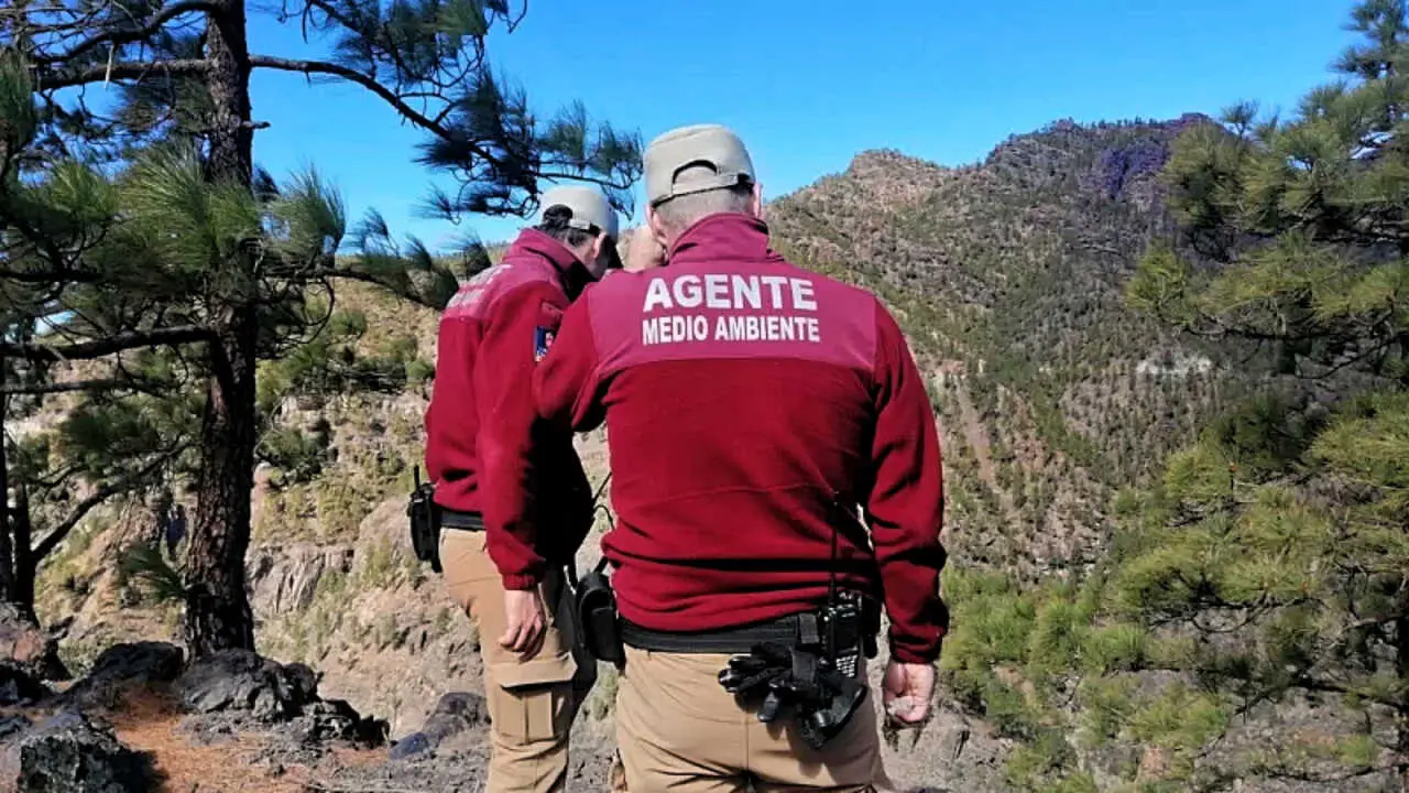 agentes-forestales-canarios-1682069924-2