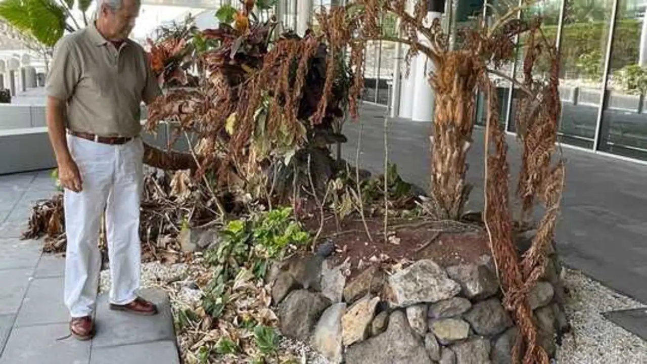Jardineria