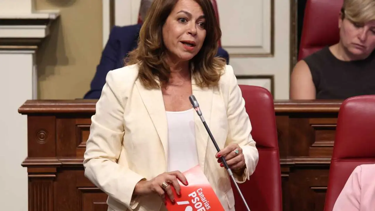 Tamara Raya, secretaria insular del PSOE de Tenerife