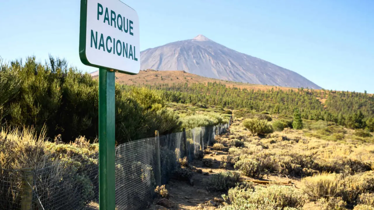 PARQUE NACIONAL DEL TEIDE 001(1)