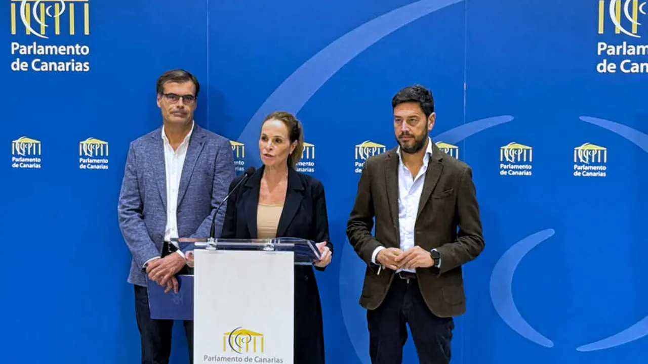 Los diputados del Grupo Parlamentario Popular Luz Rever&oacute;n, Fernando Ense&ntilde;at y Jacob Qadri
