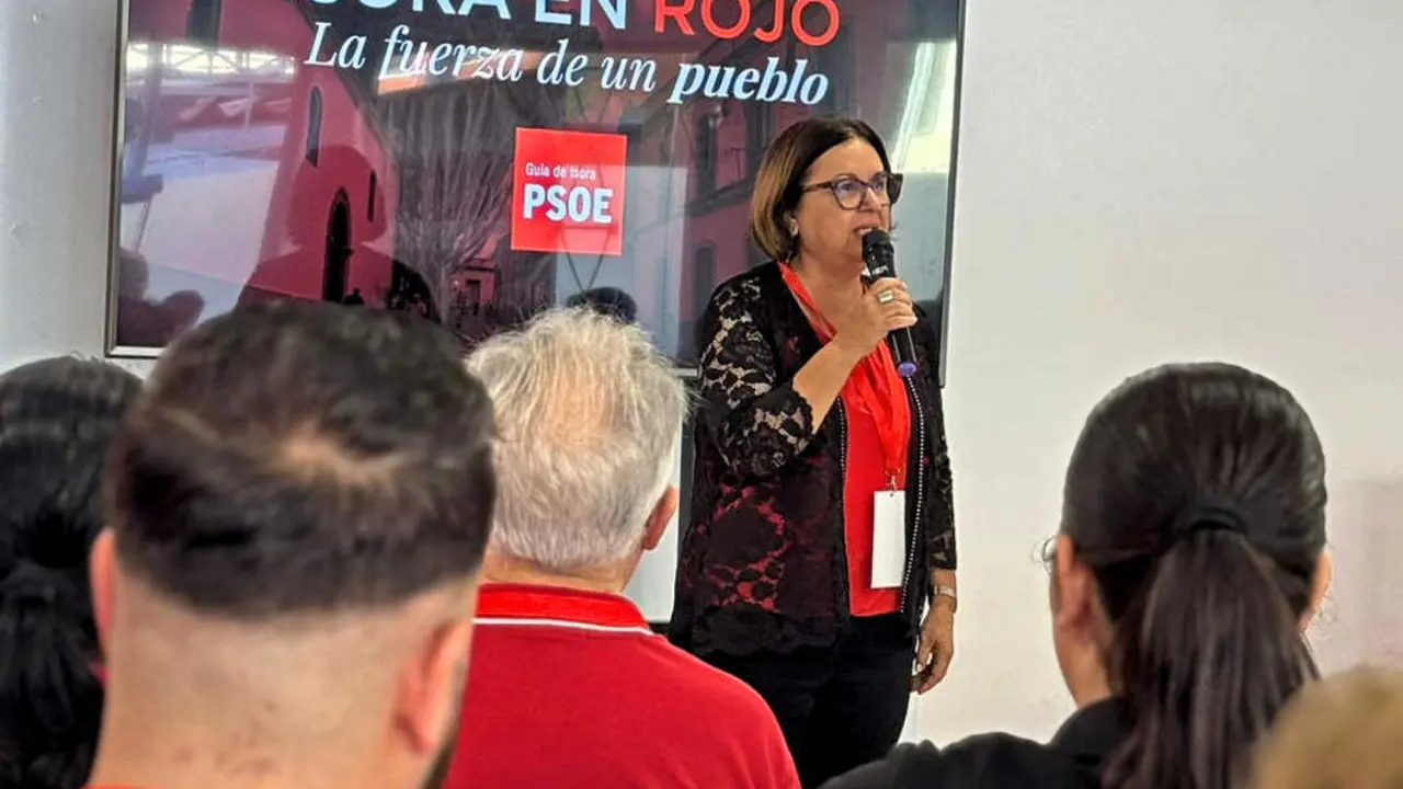 PSOE Gu&iacute;a(1)